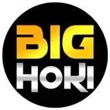 bighoki APK ARPG